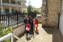 DSCN4953