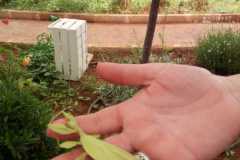 WhatsApp_Image_2019-06-11_at_16.30.58