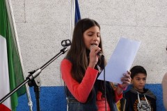 DSCF8247