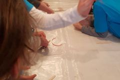 IMG-20170405-WA0032
