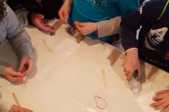 IMG-20170405-WA0033