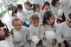IMG-20200218-WA0022