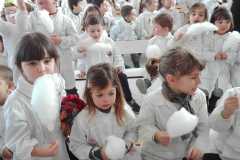 IMG-20200218-WA0023