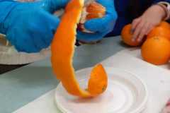 IMG-20200124-WA00862