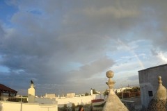 DSC00917
