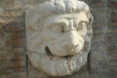 DSC01121