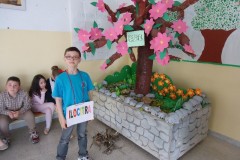 DSC09955